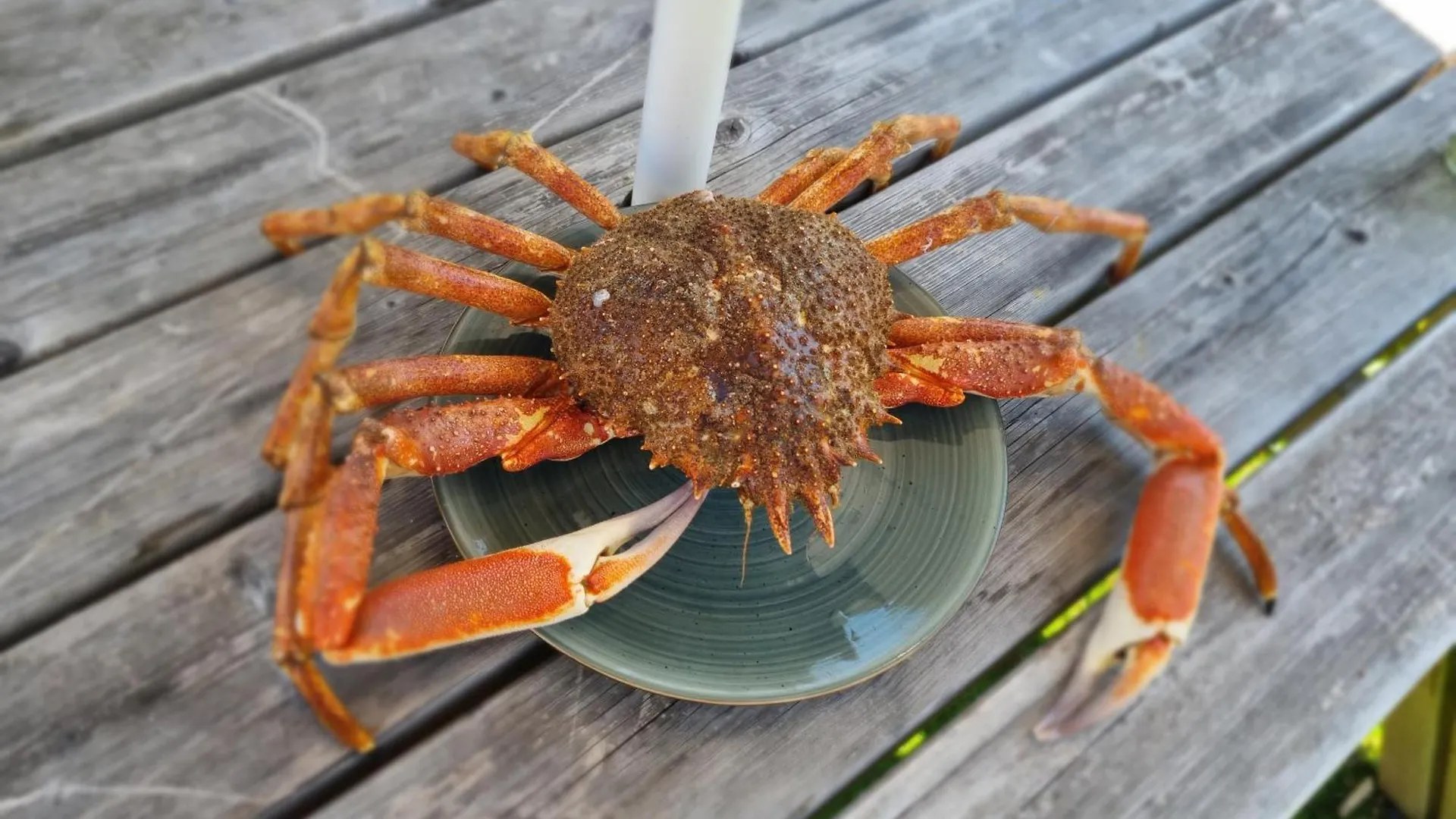 Feriehus Penty Pres De La Mer Combrit Frankrig